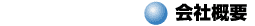 ЊTv